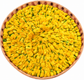 Yellow Sevanthi Flower String (Chrysanthemum) 💛🌼